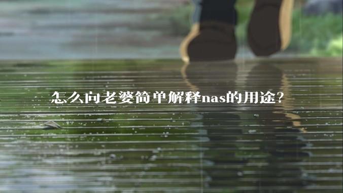 怎么向老婆简单解释nas的用途？