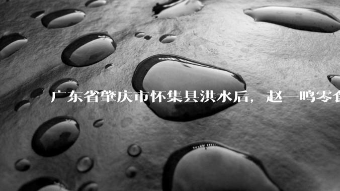 广东省肇庆市怀集县洪水后，赵一鸣零食店被哄抢，物资和收银机里面的几千块钱被哄抢一空，如何评价？